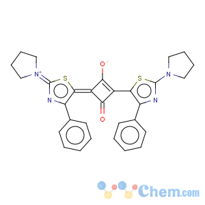 CAS No:153119-20-1 Cyclobutenediylium,1,3-dihydroxy-2,4-bis[4-phenyl-2-(1-pyrrolidinyl)-5-thiazolyl]-, bis(innersalt) (9CI)