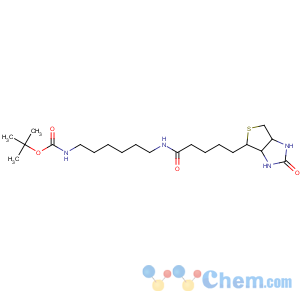CAS No:153162-70-0 tert-butyl<br />N-[6-[5-[(3aS,4S,6aR)-2-oxo-1,3,3a,4,6,6a-hexahydrothieno[3,<br />4-d]imidazol-4-yl]pentanoylamino]hexyl]carbamate