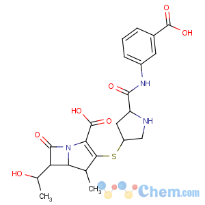 CAS No:153832-46-3 (4R,5S,6S)-3-[(3S,<br />5S)-5-[(3-carboxyphenyl)carbamoyl]pyrrolidin-3-yl]sulfanyl-6-[(1R)-1-<br />hydroxyethyl]-4-methyl-7-oxo-1-azabicyclo[3.2.0]hept-2-ene-2-carboxylic<br />acid