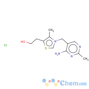 CAS No:154-87-0 Cocarboxylase