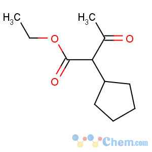 CAS No:1540-32-5 Cyclopentaneaceticacid, a-acetyl-, ethyl ester