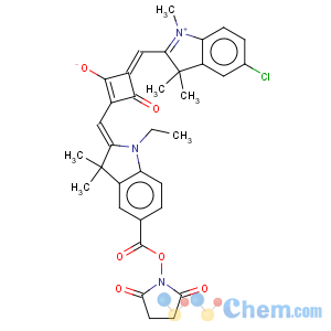 CAS No:154161-81-6 Cyclobutenediylium,1-[(5-chloro-1,3-dihydro-1,3,3-trimethyl-2H-indol-2-ylidene)methyl]-3-[[5-[[(2,5-dioxo-1-pyrrolidinyl)oxy]carbonyl]-1-ethyl-1,3-dihydro-3,3-dimethyl-2H-indol-2-ylidene]methyl]-2,4-dihydroxy-,bis(inner salt) (9CI)