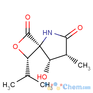 CAS No:154226-60-5 6-Oxa-2-azabicyclo[3.2.0]heptane-3,7-dione,1-[(1S)-1-hydroxy-2-methylpropyl]-4-methyl-, (1R,4R,5S)-