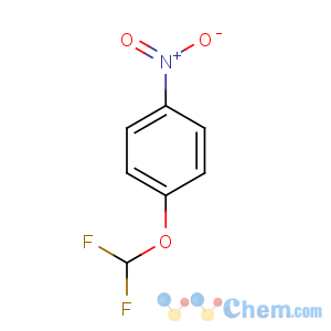 CAS No:1544-86-1 1-(difluoromethoxy)-4-nitrobenzene