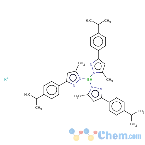 CAS No:154508-19-7 Borate(1-),hydrotris[5-methyl-3-[4-(1-methylethyl)phenyl]-1H-pyrazolato-kN1]-, potassium (1:1), (T-4)-