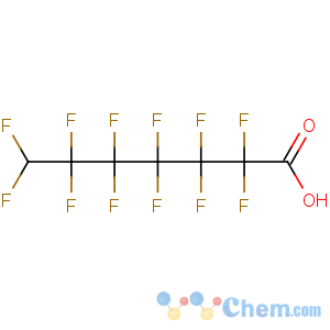 CAS No:1546-95-8 2,2,3,3,4,4,5,5,6,6,7,7-dodecafluoroheptanoic acid