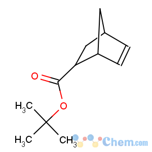 CAS No:154970-45-3 tert-butyl bicyclo[2.2.1]hept-2-ene-5-carboxylate