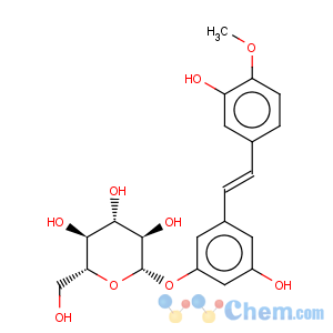 CAS No:155-58-8 Rhapontin