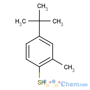 CAS No:15570-10-2 4-tert-butyl-2-methylbenzenethiol