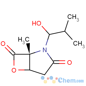 CAS No:155975-72-7 6-Oxa-2-azabicyclo[3.2.0]heptane-3,7-dione,1-[(1S)-1-hydroxy-2-methylpropyl]-4-methyl-, (1R,4R,5S)-