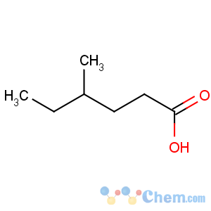 CAS No:1561-11-1 4-methylhexanoic acid