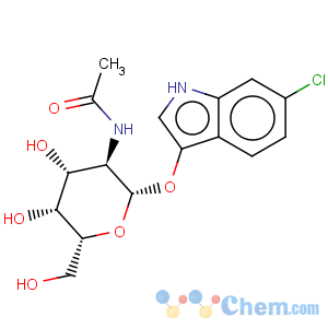 CAS No:156117-44-1 6-Chloro-3-indolyl-N-acetyl-beta-D-glucosaminide