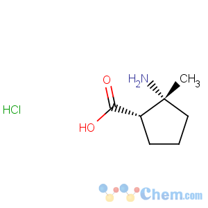 CAS No:156292-34-1 Cyclopentanecarboxylicacid, 2-amino-2-methyl-, hydrochloride, (1R,2S)-rel- (9CI)