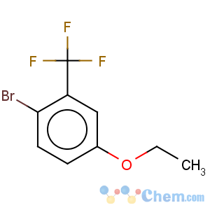 CAS No:156605-95-7 Benzene,1-bromo-4-ethoxy-2-(trifluoromethyl)-