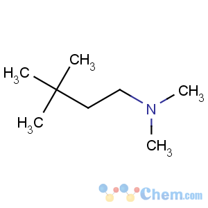 CAS No:15673-04-8 N,N,3,3-tetramethylbutan-1-amine