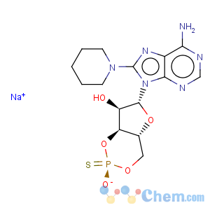 CAS No:156816-35-2 Adenosine,8-(1-piperidinyl)-, cyclic 3',5'-[hydrogen (S)-phosphorothioate] (9CI)