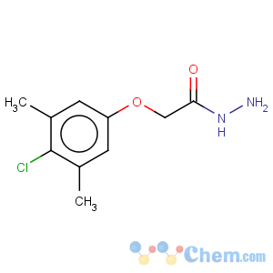 CAS No:156867-62-8 2-(4-chloro-3,5-dimethylphenoxy)acetohydrazide