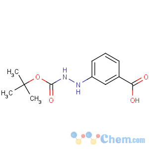 CAS No:156899-02-4 3-[2-[(2-methylpropan-2-yl)oxycarbonyl]hydrazinyl]benzoic acid