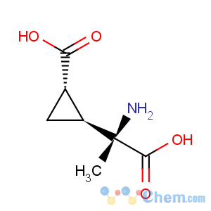 CAS No:157141-16-7 Cyclopropaneaceticacid, a-amino-2-carboxy-a-methyl-, (aS,1S,2S)-
