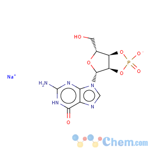 CAS No:15718-49-7 Guanosine, cyclic2',3'-(hydrogen phosphate), sodium salt (1:1)
