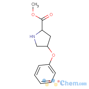 CAS No:157187-62-7 methyl (2S,4S)-4-phenoxypyrrolidine-2-carboxylate
