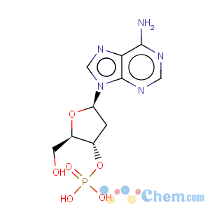CAS No:15731-72-3 3'-Adenylic acid,2'-deoxy-