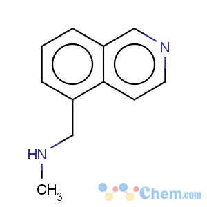 CAS No:157610-84-9 5-Isoquinolinemethanamine,N-methyl-