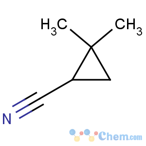 CAS No:157728-61-5 2,2-dimethylcyclopropane-1-carbonitrile