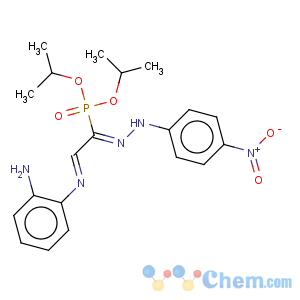 CAS No:157732-12-2 {2-(2-Amino-phenylimino)-1-[(4-nitro-phenyl)-hydrazono]-ethyl}-phosphonic acid diisopropyl ester