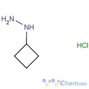 CAS No:158001-21-9 cyclobutylhydrazine