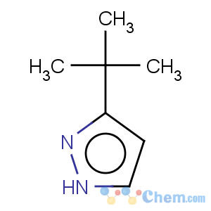 CAS No:15802-80-9 1H-Pyrazole,3-(1,1-dimethylethyl)-