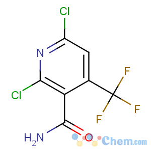 CAS No:158063-67-3 2,6-dichloro-4-(trifluoromethyl)pyridine-3-carboxamide