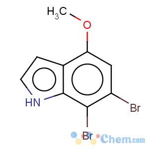 CAS No:158920-11-7 1H-Indole,6,7-dibromo-4-methoxy-