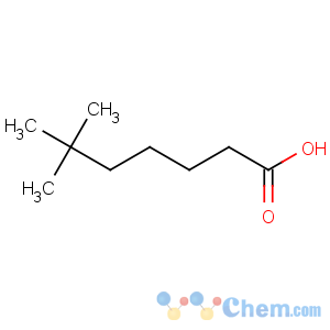 CAS No:15898-92-7 Heptanoic acid,6,6-dimethyl-
