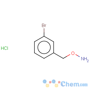 CAS No:159023-41-3 Hydroxylamine,O-[(3-bromophenyl)methyl]-, hydrochloride (1:1)
