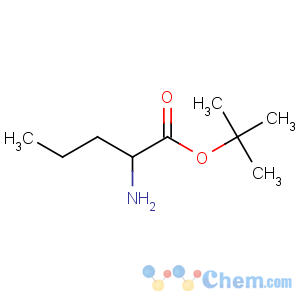 CAS No:15911-75-8 tert-butyl (2S)-2-aminopentanoate