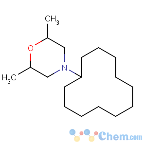 CAS No:1593-77-7 4-cyclododecyl-2,6-dimethylmorpholine