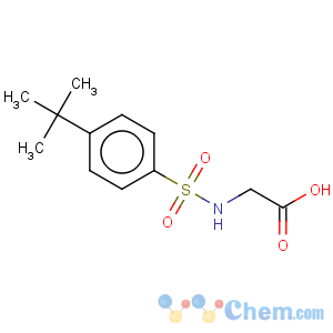 CAS No:159855-97-7 Glycine,N-[[4-(1,1-dimethylethyl)phenyl]sulfonyl]-