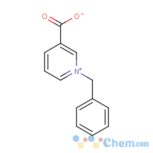 CAS No:15990-43-9 1-benzylpyridin-1-ium-3-carboxylate