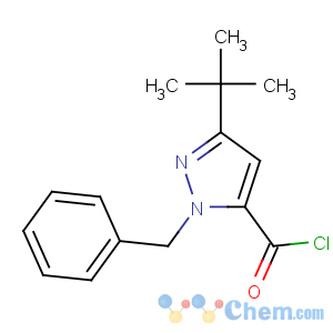 CAS No:160233-29-4 2-benzyl-5-tert-butylpyrazole-3-carbonyl chloride