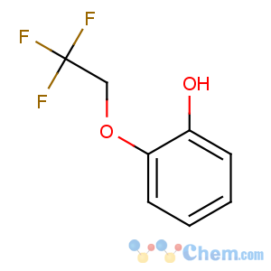 CAS No:160968-99-0 2-(2,2,2-trifluoroethoxy)phenol