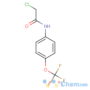 CAS No:161290-85-3 2-chloro-N-[4-(trifluoromethoxy)phenyl]acetamide