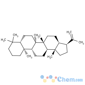 CAS No:1615-91-4 A'-Neogammacer-22(29)-ene