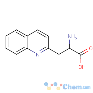 CAS No:161513-46-8 2-amino-3-quinolin-2-ylpropanoic acid