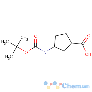 CAS No:161660-94-2 (1R,<br />3S)-3-[(2-methylpropan-2-yl)oxycarbonylamino]cyclopentane-1-carboxylic<br />acid