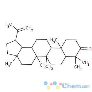 CAS No:1617-70-5 Lup-20(29)-en-3-one