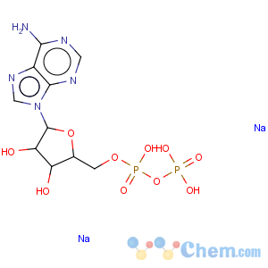 CAS No:16178-48-6 Adenosine-5'-diphosphate, disodium salt hydrate