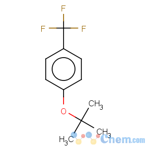 CAS No:16222-44-9 Benzene,1-(1,1-dimethylethoxy)-4-(trifluoromethyl)-