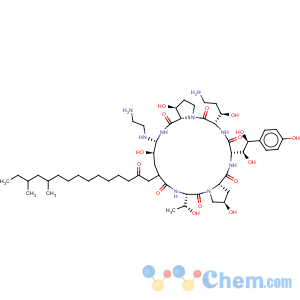 CAS No:162808-62-0 Caspofungin