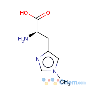 CAS No:163750-77-4 D-Histidine, 1-methyl-